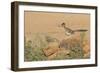 Arizona, Amado. Greater Roadrunner with Lizard-Jaynes Gallery-Framed Photographic Print