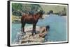 Arizona - Apache Man Drinking at Navajo Rio-Lantern Press-Framed Stretched Canvas