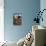 Arizona - Blond Tarantula-Lantern Press-Stretched Canvas displayed on a wall