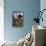 Arizona - Blond Tarantula-Lantern Press-Stretched Canvas displayed on a wall