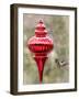 Arizona, Buckeye. Male Anna's Hummingbird Inspects Red Christmas Ornament-Jaynes Gallery-Framed Photographic Print