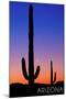 Arizona - Cactus and Moon-Lantern Press-Mounted Art Print