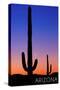 Arizona - Cactus and Moon-Lantern Press-Stretched Canvas