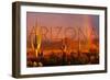 Arizona - Cactus and Rainbow-Lantern Press-Framed Art Print