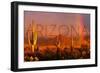 Arizona - Cactus and Rainbow-Lantern Press-Framed Art Print