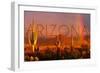 Arizona - Cactus and Rainbow-Lantern Press-Framed Art Print