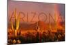 Arizona - Cactus and Rainbow-Lantern Press-Mounted Art Print