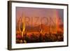 Arizona - Cactus and Rainbow-Lantern Press-Framed Art Print