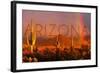 Arizona - Cactus and Rainbow-Lantern Press-Framed Art Print