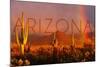 Arizona - Cactus and Rainbow-Lantern Press-Mounted Art Print