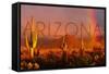 Arizona - Cactus and Rainbow-Lantern Press-Framed Stretched Canvas