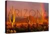 Arizona - Cactus and Rainbow-Lantern Press-Stretched Canvas