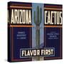 Arizona Cactus Brand - Phoenix, Arizona - Citrus Crate Label-Lantern Press-Stretched Canvas