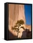 Arizona, Canyon De Chelly National Monument, USA-Alan Copson-Framed Stretched Canvas