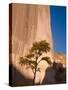 Arizona, Canyon De Chelly National Monument, USA-Alan Copson-Stretched Canvas