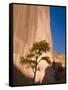 Arizona, Canyon De Chelly National Monument, USA-Alan Copson-Framed Stretched Canvas