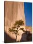 Arizona, Canyon De Chelly National Monument, USA-Alan Copson-Stretched Canvas