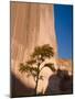Arizona, Canyon De Chelly National Monument, USA-Alan Copson-Mounted Photographic Print