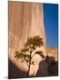 Arizona, Canyon De Chelly National Monument, USA-Alan Copson-Mounted Photographic Print