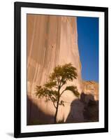 Arizona, Canyon De Chelly National Monument, USA-Alan Copson-Framed Photographic Print