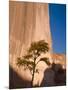 Arizona, Canyon De Chelly National Monument, USA-Alan Copson-Mounted Photographic Print