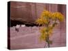 Arizona, Canyon De Chelly National Monument, USA-Alan Copson-Stretched Canvas