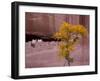 Arizona, Canyon De Chelly National Monument, USA-Alan Copson-Framed Photographic Print