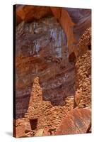 Arizona, Coconino National Forest, Palatki Heritage Site, Cliff Dwelling Ruin-Jamie & Judy Wild-Stretched Canvas