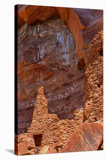 Arizona, Coconino National Forest, Palatki Heritage Site, Cliff Dwelling Ruin-Jamie & Judy Wild-Stretched Canvas