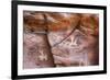 Arizona, Coconino National Forest, Palatki Heritage Site, Pictographs at Roasting Pit site-Jamie & Judy Wild-Framed Premium Photographic Print