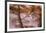 Arizona, Coconino National Forest, Palatki Heritage Site, Pictographs at Roasting Pit site-Jamie & Judy Wild-Framed Premium Photographic Print