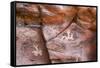 Arizona, Coconino National Forest, Palatki Heritage Site, Pictographs at Roasting Pit site-Jamie & Judy Wild-Framed Stretched Canvas