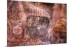 Arizona, Coconino National Forest, Palatki Heritage Site, Pictographs at Roasting Pit site-Jamie & Judy Wild-Mounted Premium Photographic Print