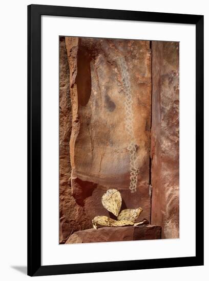 Arizona, Coconino National Forest, Palatki Heritage Site, Pictographs at Roasting Pit site-Jamie & Judy Wild-Framed Premium Photographic Print