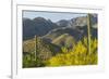 Arizona, Coronado NF. Saguaro Cactus and Blooming Palo Verde Trees-Cathy & Gordon Illg-Framed Photographic Print