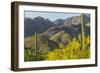 Arizona, Coronado NF. Saguaro Cactus and Blooming Palo Verde Trees-Cathy & Gordon Illg-Framed Photographic Print