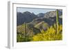 Arizona, Coronado NF. Saguaro Cactus and Blooming Palo Verde Trees-Cathy & Gordon Illg-Framed Photographic Print