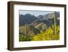 Arizona, Coronado NF. Saguaro Cactus and Blooming Palo Verde Trees-Cathy & Gordon Illg-Framed Photographic Print