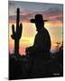 Arizona Cowboy-Barry Hart-Mounted Giclee Print