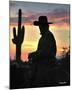 Arizona Cowboy-Barry Hart-Mounted Giclee Print