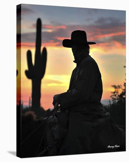 Arizona Cowboy-Barry Hart-Stretched Canvas