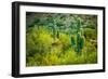 Arizona Desert Cactuses-duallogic-Framed Photographic Print