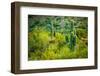 Arizona Desert Cactuses-duallogic-Framed Photographic Print