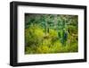 Arizona Desert Cactuses-duallogic-Framed Photographic Print