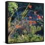 Arizona Desert Plants,USA-Anna Miller-Framed Stretched Canvas