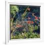 Arizona Desert Plants,USA-Anna Miller-Framed Photographic Print