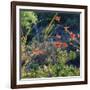 Arizona Desert Plants,USA-Anna Miller-Framed Photographic Print