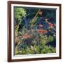 Arizona Desert Plants,USA-Anna Miller-Framed Photographic Print