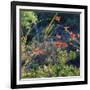 Arizona Desert Plants,USA-Anna Miller-Framed Photographic Print