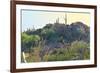 Arizona Desert Plants,USA-Anna Miller-Framed Photographic Print